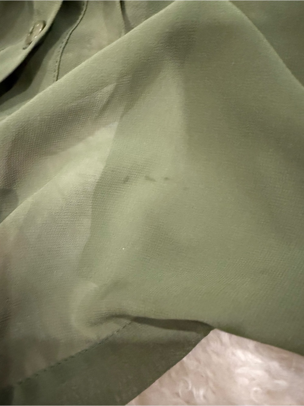 W118 by Walter Baker sheer green button up blouse sz xs - Picture 5 of 5